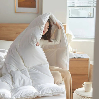 KDJEIKZ  Winter Cotton Goose Down Quilt Five-Star Hotel Duvet Super Soft Fluffy Queen King Full Size Four Seasons Duvets Blanket