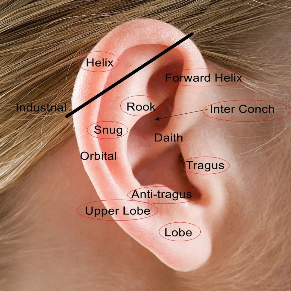 16G 18G Titanium Labret Stud Lip Ring Ear Helix Conch Trage Earring 2-4mm Zircon 0.9mm Internally Threaded Body Piercing Jewelry.