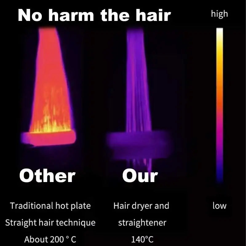 Professional 2-in-1 Hair Dryer and Straightener Negative Ion Iron Long Lasting Styling Tool Wet and Dry Straightener