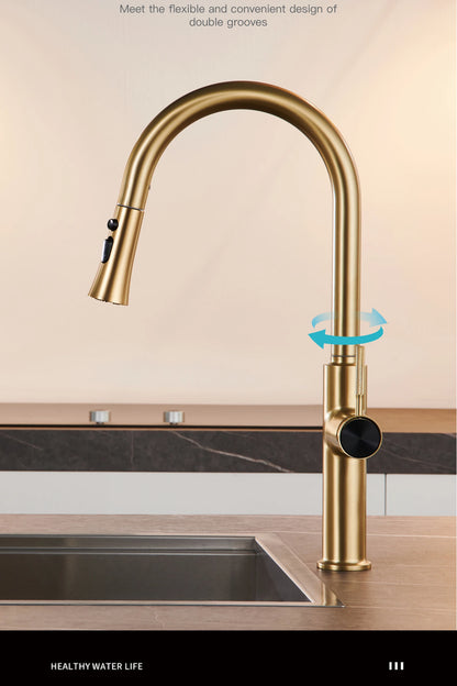 Luxury brushed gold kitchen faucet with pull-out design, 1-hole single handle cold and hot dual control dual function sink Tap