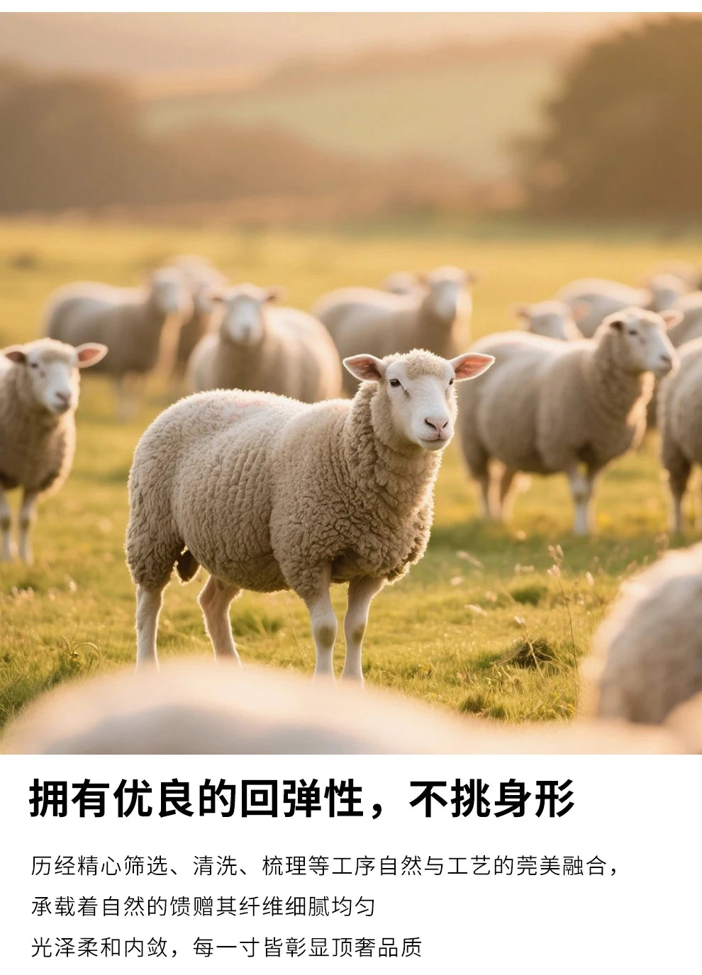 Zweiteiliger Anzug aus 100 % Merinowolle für Damen, O-Kragen-Pullover, Pullover, weites Bein, Hosen-Set, Herbst-Winter, lockere, bequeme Strickwaren