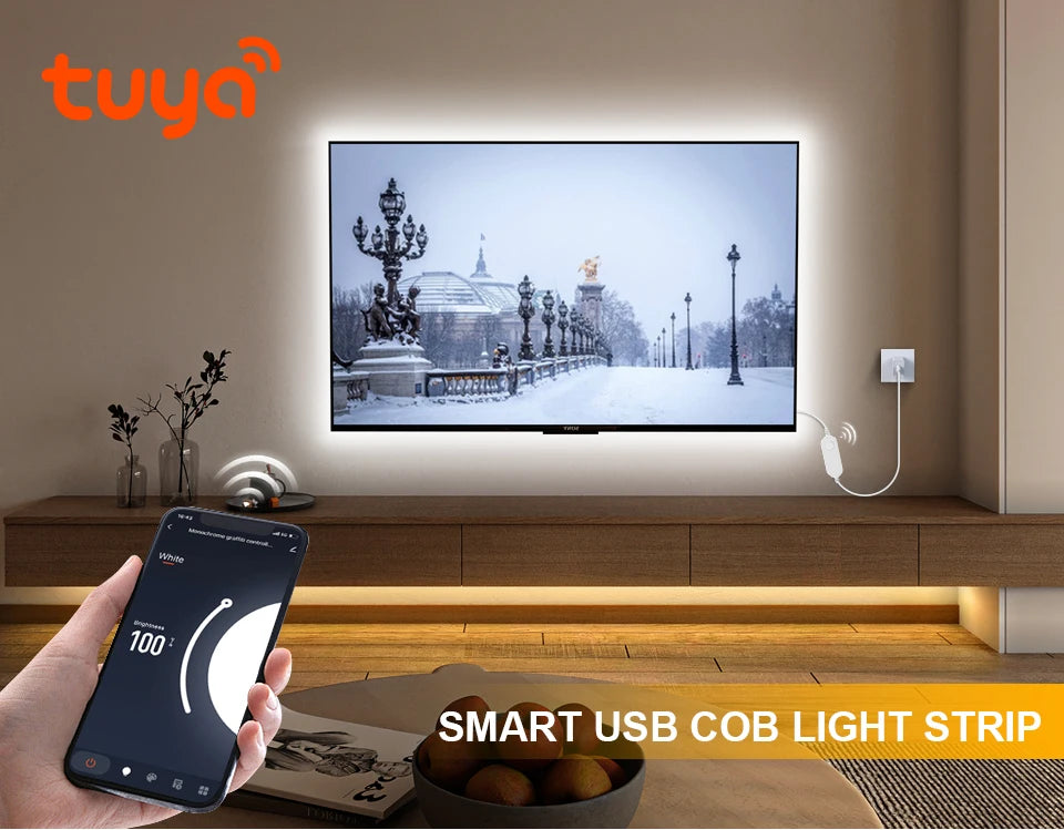 Tuya Wifi RGB /White/Warm White COB LED Strip Light Silica Gel Tube Tape Linear Dimmable Lighting work with Alexa Google Home.