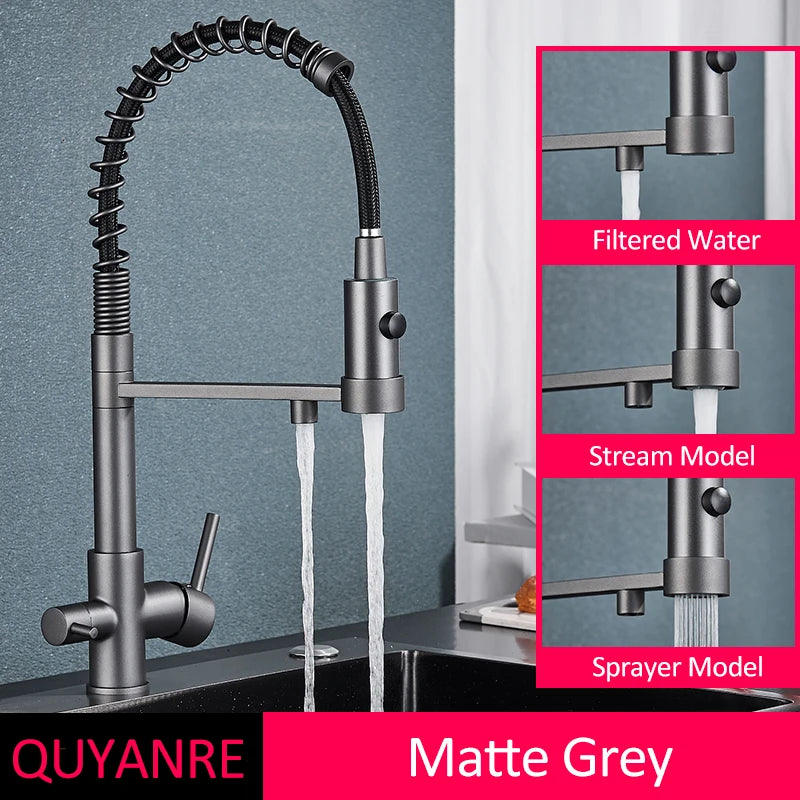 Black Filtered Kitchen Water Filter Kitchen Faucets Dual Spout Filter Faucet Mixer Water Purification Water Crane For Kitchen