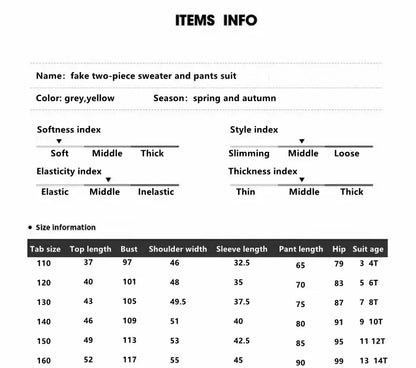 Girls Autumn Loungewear Suit Children\'s Casual Sweatshirt Pants Sets Two-Piece False 2 Pcs Top Leggings Tracksuits Kids Clothes.