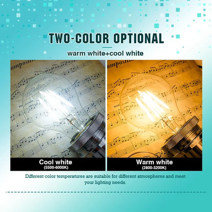 LED Retro Edison Glühbirne E14 E27 AC 220V 2W 4W 6W 8W Vintage Glas lampe C35 G45 A60 St64 G80 G95 G125 LED Filament Licht Wohnkultur.