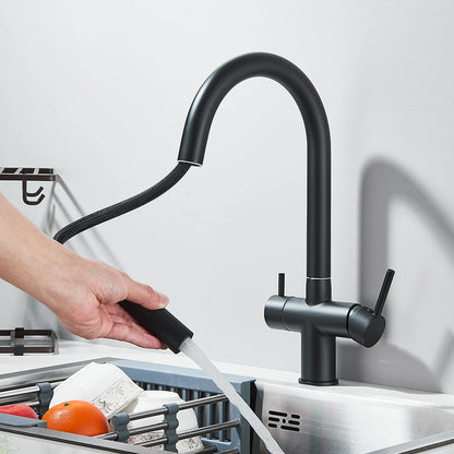 Filter Kitchen Faucet Pull Out Flexible Drinking Water Kitchen Faucets Dual Handle Metal 2 in 1 Hot Cold Water Mixer Tap