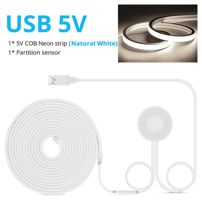 DC5V USB Touch Sensor dimmbar und Hand Sweep Schalter Cob Licht LED Streifen Neon Silica Gel Band wasserdichte Hintergrund beleuchtung DIY nach Hause.