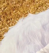 Litfun Winter Genuine Suede Snow Boots For Women Water Resistant Slides Soft Sole Ankle Boots Plush Lining Warm House Slippers.