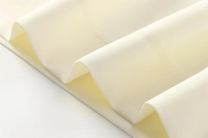 TFMLN Fashion Women's Trouser Suits Sleeveless V-Neck Top With Belt Straight Pants Sets 2025 Spring Summer Commuter 2 Piece Set