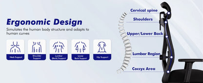 AUTHMIC Ergonomischer Bürostuhl, verstellbare Netzrückenlehne, Lordosenstütze, drehbarer Computer-Schreibtischstuhl für Zuhause, Büro, Arbeit, Gaming