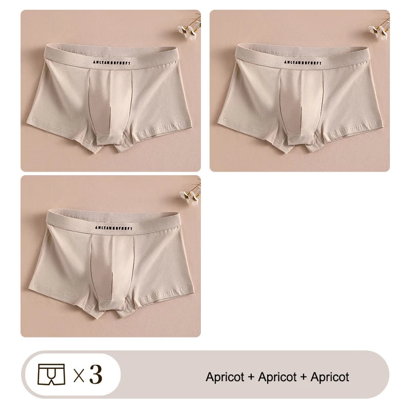 3PCS Sport Boxer Mann Atmungsaktive Geschenk Sportliche Boxer männer Platz Höschen Sexy Männer Unterwäsche Unterhose Briefs Shorts unterwäsche