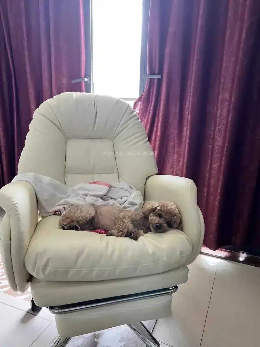 Heimcomputerstuhl, bequem, sitzend, Arbeitszimmer, Büro, Schlafsaal, Schlafzimmer, faules drehbares Sofa