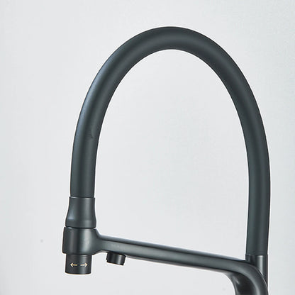 Filter Kitchen Faucet Stream/Shower Mode Water Outlet 360 Rotate Deck Mount Tap Drinking Water Flexible Sprayer Crane