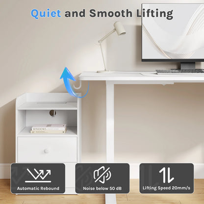 WOLTU Elektrischer stehender Computertisch, höhenverstellbarer, ergonomischer Arbeitstisch mit USB-Ladeanschluss und Speichersteuerung