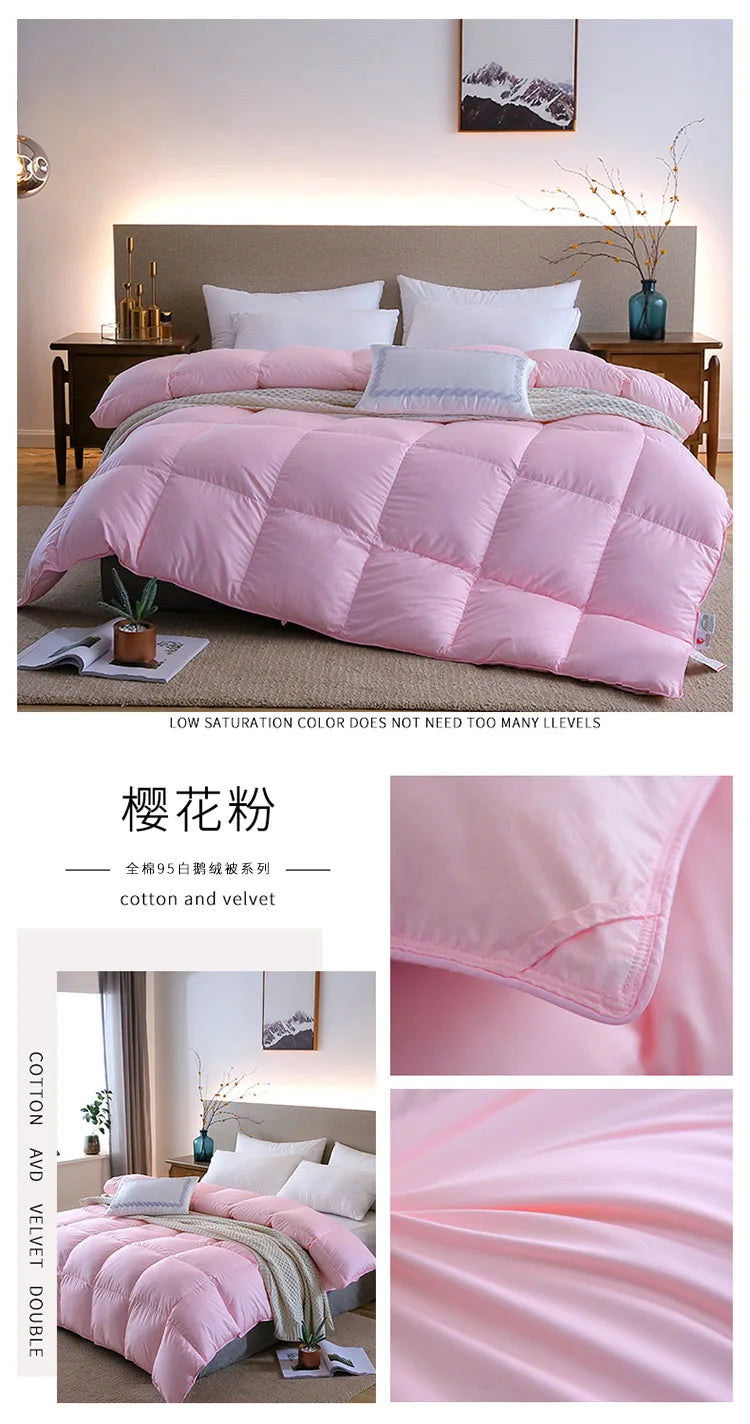 Down duvet 95 white goose down five-star hotel warm double single duvet core goose down duvet