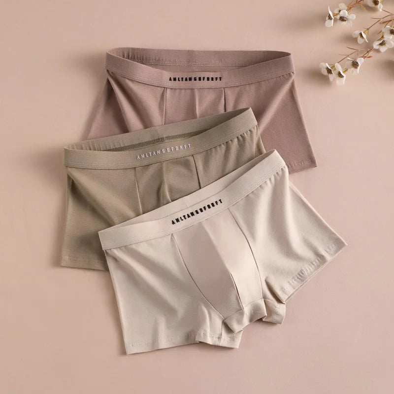 3PCS Sport Boxer Mann Atmungsaktive Geschenk Sportliche Boxer männer Platz Höschen Sexy Männer Unterwäsche Unterhose Briefs Shorts unterwäsche