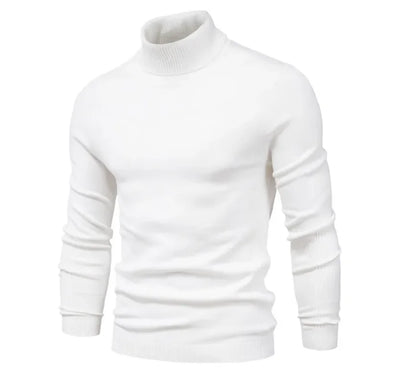 New Winter Men's Turtleneck Thick Sweaters Casual Turtle Neck Solid Color Quality Warm Slim Turtleneck Sweaters Men Pullovers To.