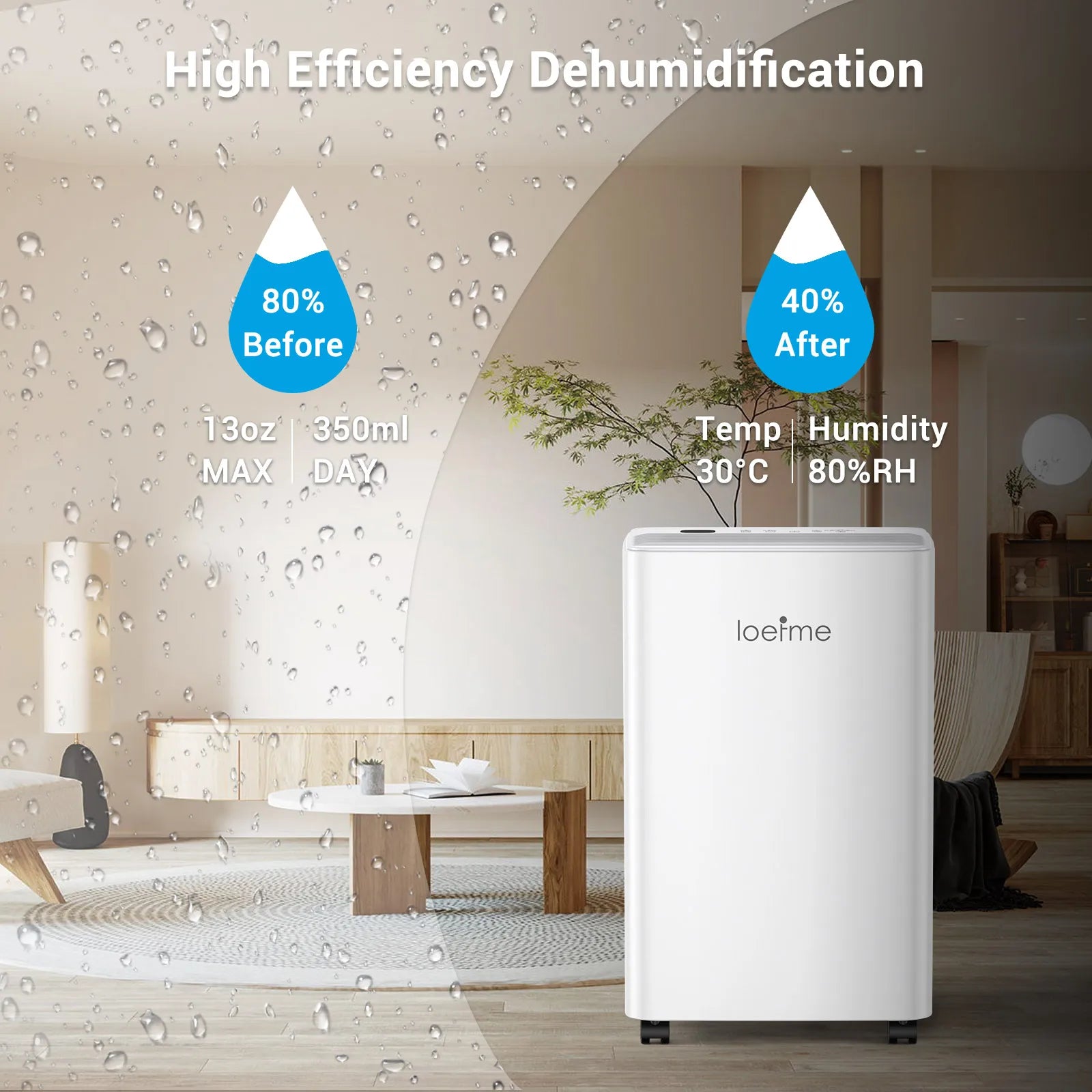 LOEFME 2L Dehumidifier Moisture Absorbers Home Air Dryer Electric Dehumidifier 12L/Day Dehumidification Timer 3 Modes W/ 3M Hose.