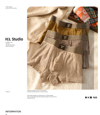 3 Teile/paket 100% Baumwolle Solide Raute Unterwäsche Atmungsaktive Antibakterielle Mesh Schritt Boxer Mann Hohe Elastische Wiast Männer der Höschen