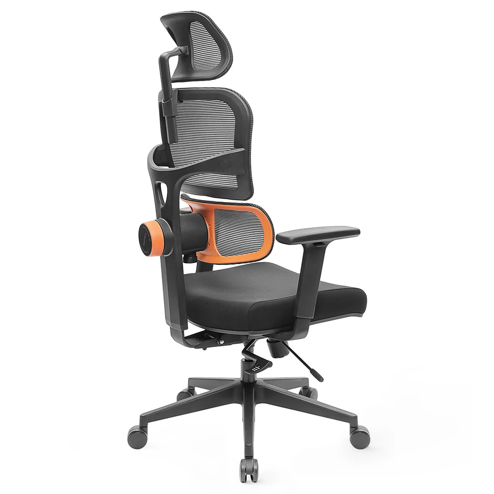 NEWTRAL Chair Standard NT001 Adaptive Unterrückenstütze Ergonomischer Stuhl, verstellbare Armlehnen-Kopfstütze, Nylonbasis Hohe Qualität