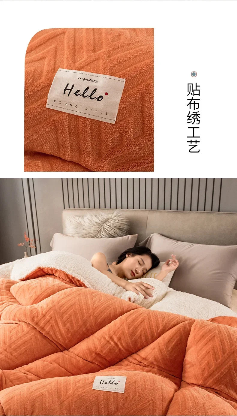 Super Warm Lamb Wool Quilt Winter Thickened Cotton Quilt Warm Cotton Double Sided Velvet Soft Extra Large Blanket 이불.