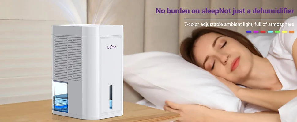 LOEFME Silent Dehumidifier 1.0L Portable Air Double Dehumidifier Dryer with LED Light Area 5–20m² for Home Bedroom living Room.