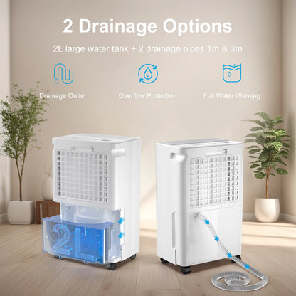 Electric 12L/Day Compressor Dehumidifier Air Purifier with Humidistat 24H Timer LCD Display Portable with Wheels for Home Damp.