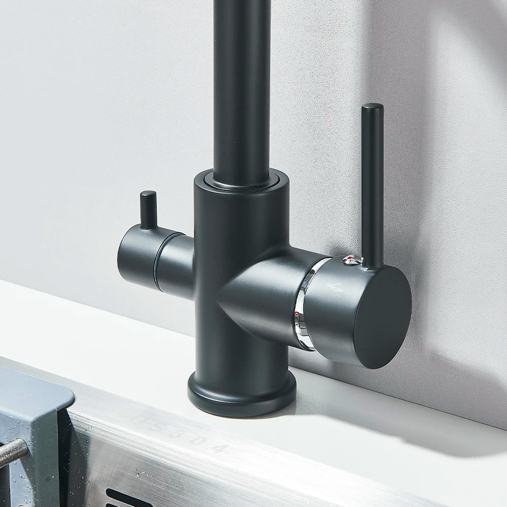 Balck Kitchen Filtered Faucet Brass Purifier Faucet Dual Sprayer Drinking Water Beige with Dot Vessel Sink Mixer Tap Torneira