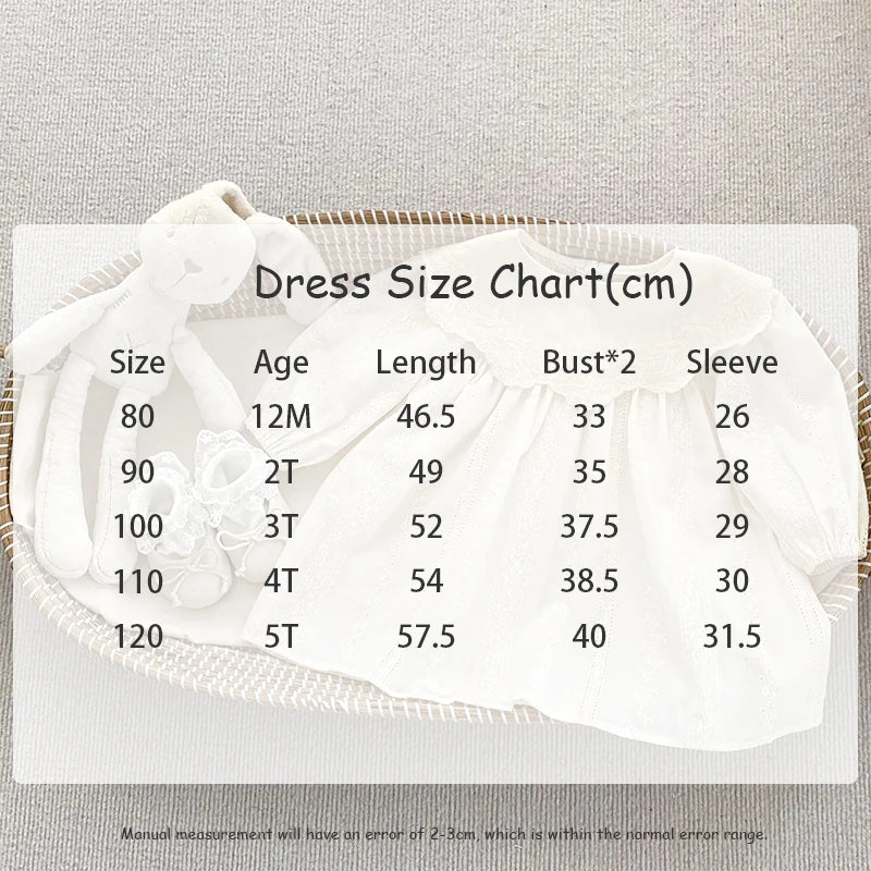 Frühling Baby Body Schwestern Kleid Blume Stickerei Kleid für Kleinkind Mädchen Kleinkind Outfit.