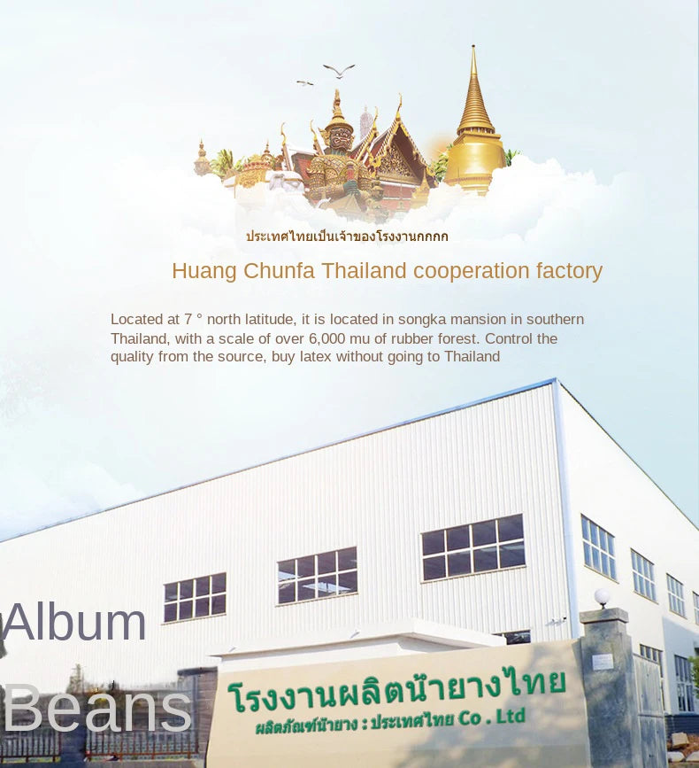 High-End-Latex-Quellen-Flüssigkeitsmatratzenoberteil, 100 % Naturlatex, faltbar, langsame Rückfederung, Thiland-Matten mit anpassbarem Baumwollbezug