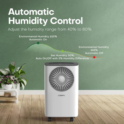 Dehumidifier Bedroom 12L/Day Continuous Drainage, 24H Timer, Automatic Defrost Humidity Control 2 Speed, Suitable for Room Home.