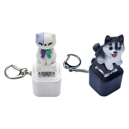 Frog Croaking Fidget Toy Keychain With Colorful Lights Rechargeable Keychain With Led Fun Animal Sound Button Toy Stress Relief.