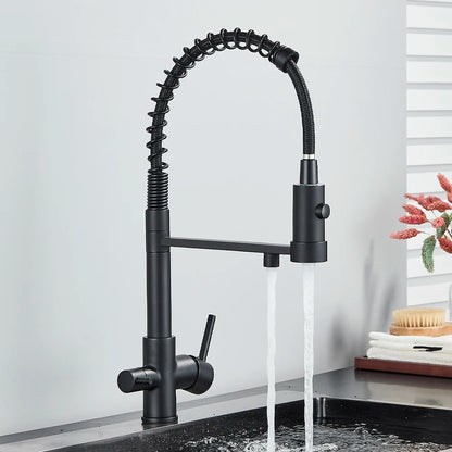 Gray Filtered Kitchen Faucet Dual Spout Hot Cold Mixer Purification Water Crane Filter Water Faucet Deck Mount