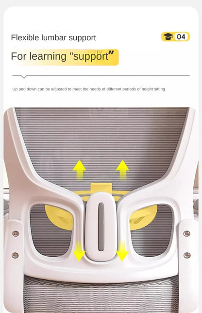 Computerstuhl, Heimsitz, Taille, Studentenschreibtisch, Arbeitsstuhl mit Lift und verstellbarer Rückenlehne