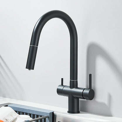 Filter Kitchen Faucet Pull Out Flexible Drinking Water Kitchen Faucets Dual Handle Metal 2 in 1 Hot Cold Water Mixer Tap