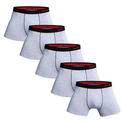 5 stücke Pack Herren Höschen Baumwolle Unterwäsche Männliche Marke Boxer Briefs 2025 Unterhosen Für Homme Luxus Sexy Shorts Geschenk