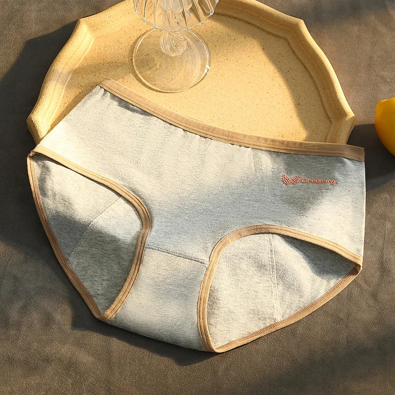 Menstrual Period Panties Women Cotton Plus Size Leakproof Period Underpants Breathable Female Waterproof Menstruation Breifs