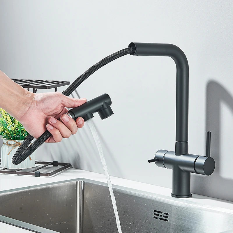Rozin Water Purifier Kitchen Faucet Black Pull Out Flexible Filter Kitchen Faucets Crane Brass 2 in 1 Hot Cold Water Mixer Tap