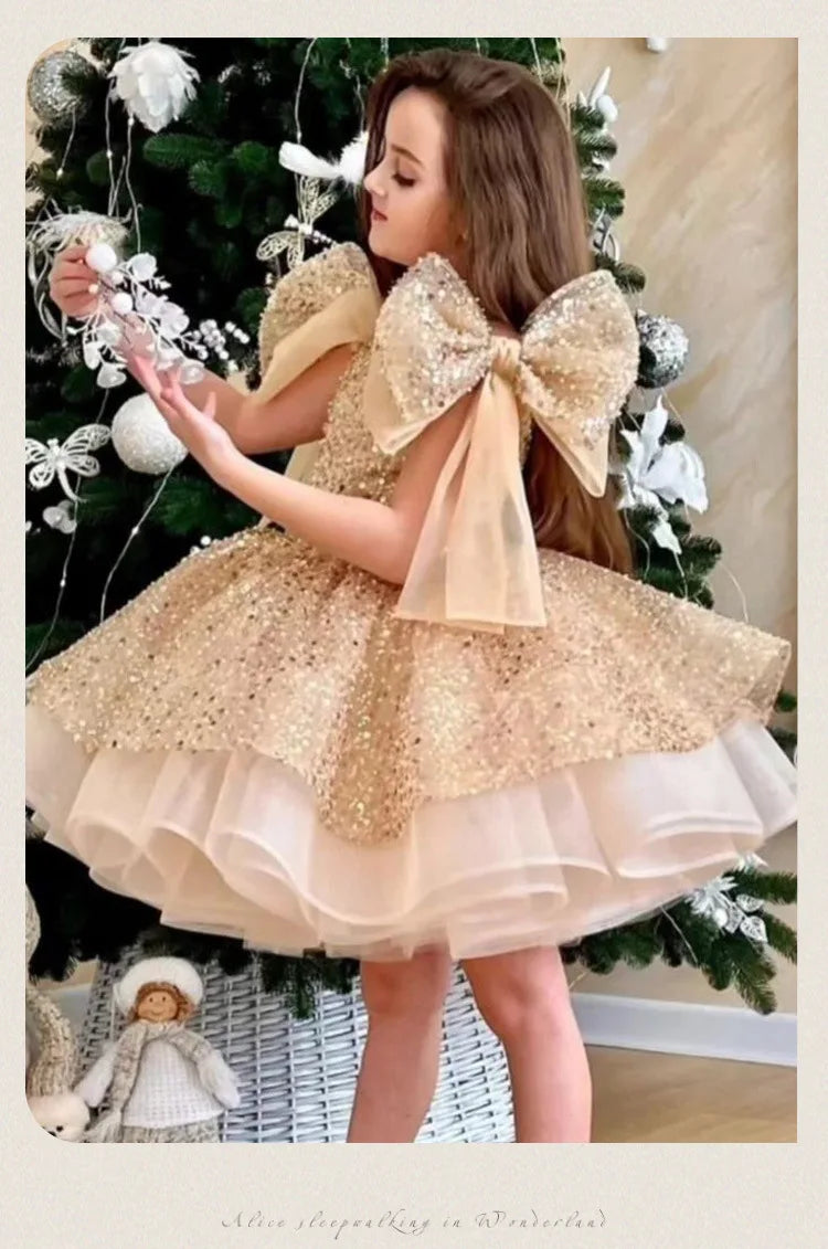 2024 neue Mädchen kleider für formelle Anlässe große Schleife und flauschige Ballett leistung Ballkleid Geburtstags kind Prinzessin Kleid.