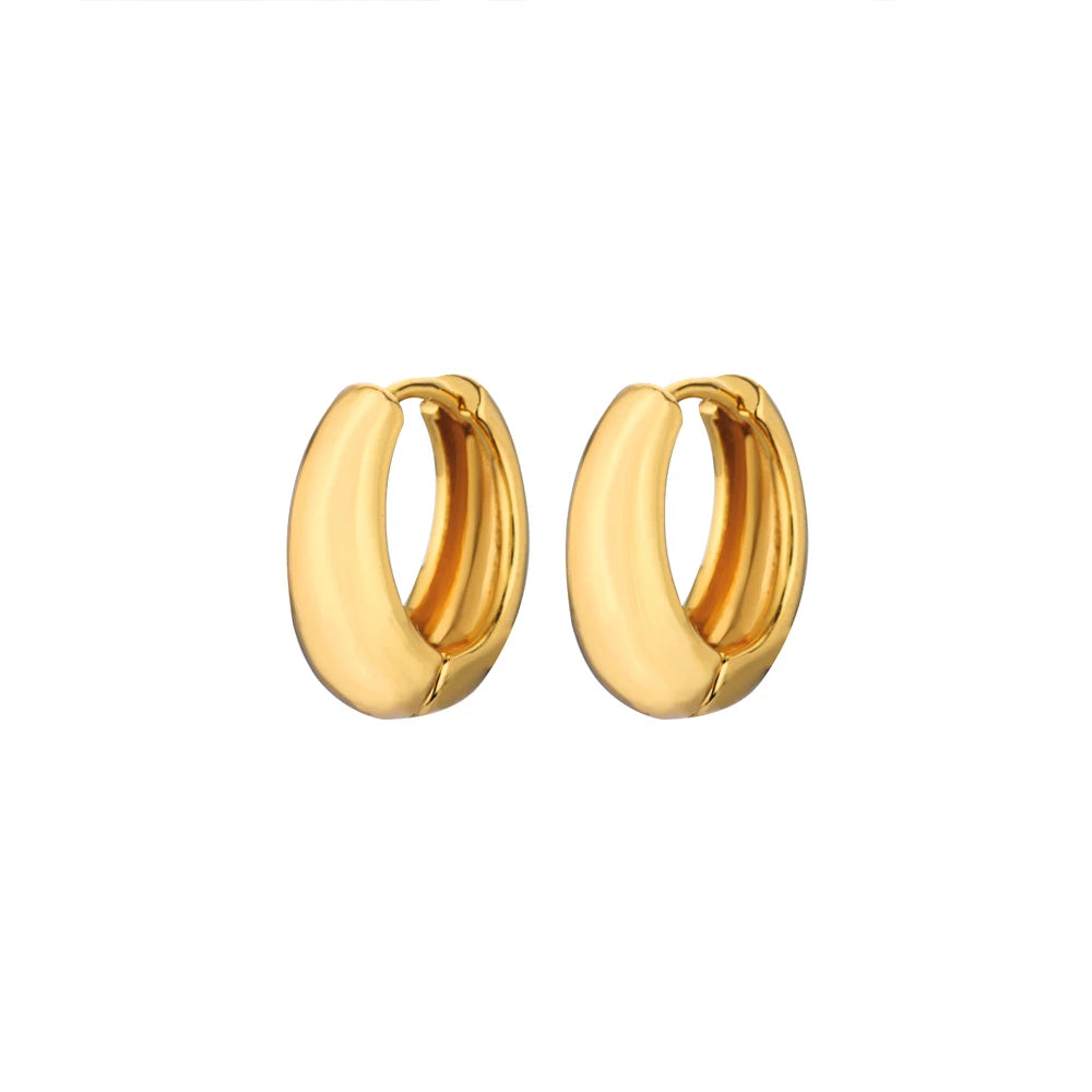 Classic Hoop Earrings for Women Chunky Stainless Steel Gold Color Earring 2025 Trend New in Minimalist Pendientes Jewelry aretes.