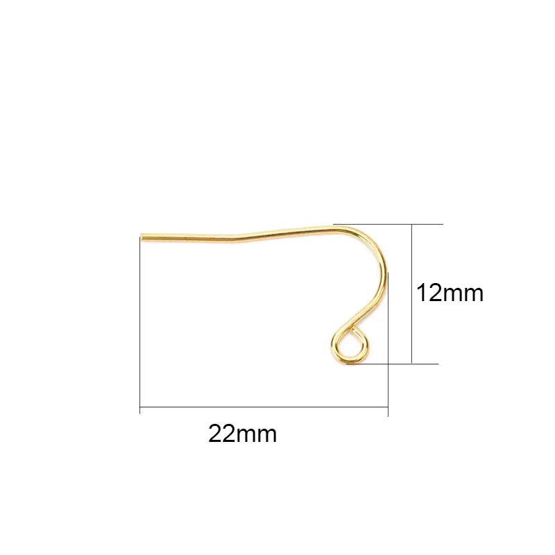 50pcs Never Fade PVD Stainless Steel Earrings Hooks Clasp Bulk Anti Allergy Earring Making Earing Wires For Diy Jewelry Findings.