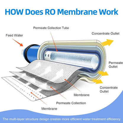 Water Purifier Reverse Osmosis Membrane Kitchen Direct Drinking Water Reverse Osmosis Universal Filter Cartridge 50/75/100/150G