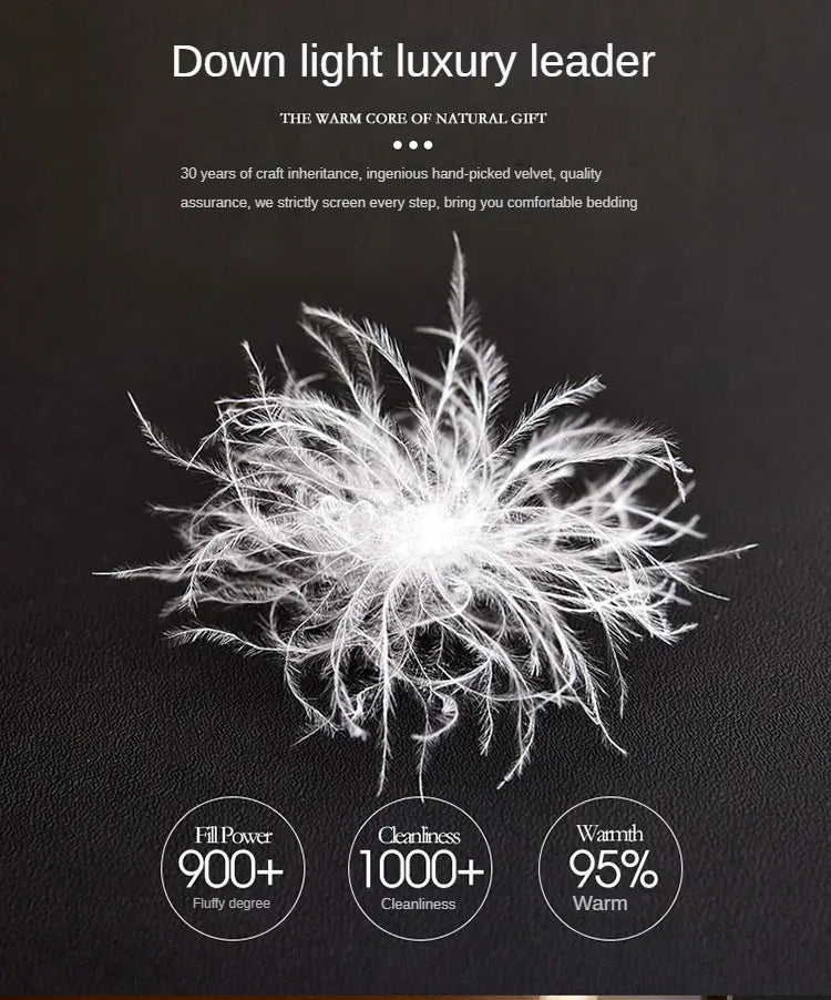 Down duvet 95 white goose down five-star hotel warm double single duvet core goose down duvet.