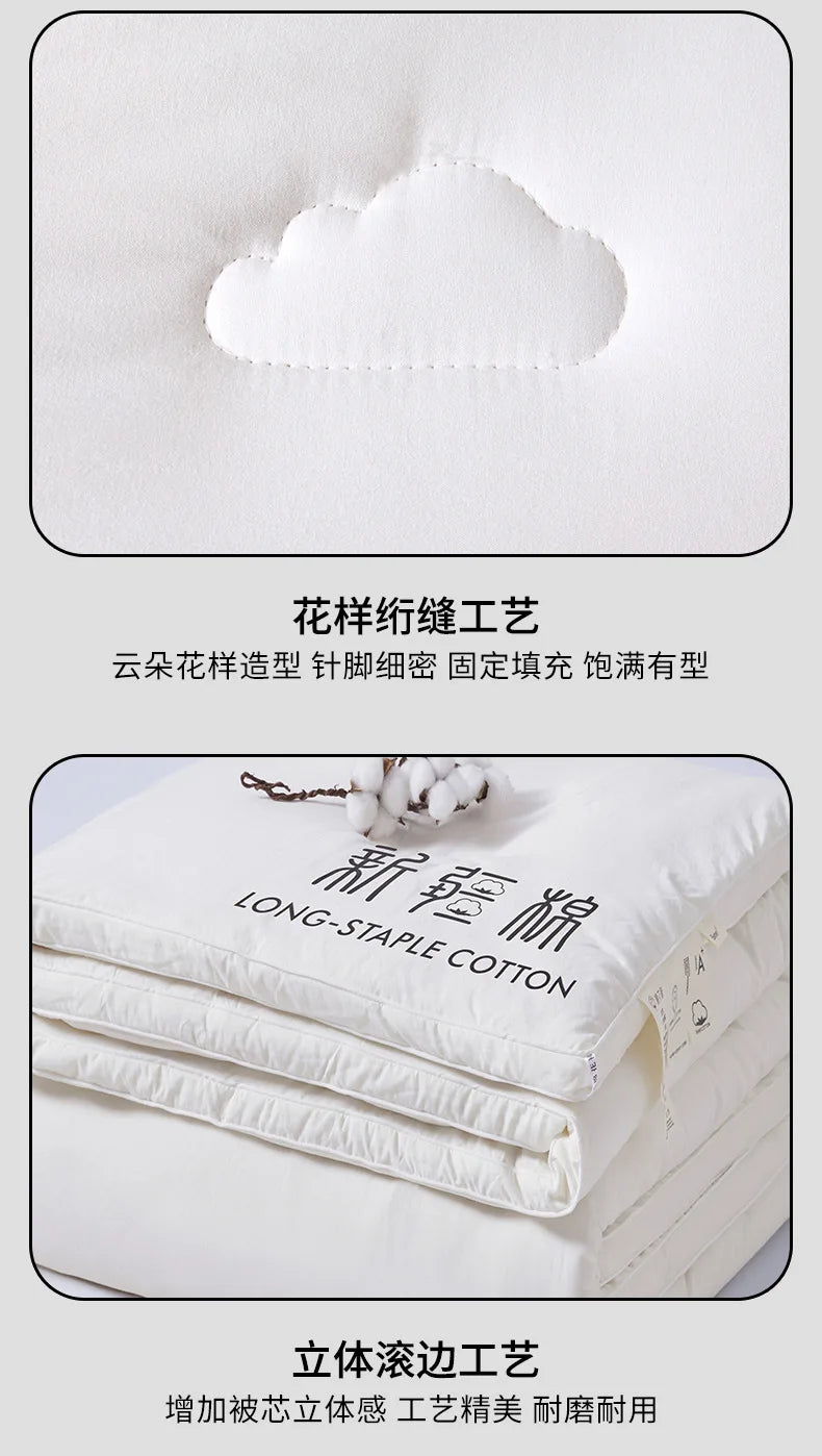 2025 new class A Xinjiang cotton thickened winter quilt spring and autumn quilt pure cotton quilt student dormitory warm.