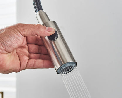 Black Filtered Kitchen Water Filter Kitchen Faucets Dual Spout Filter Faucet Mixer Water Purification Water Crane For Kitchen