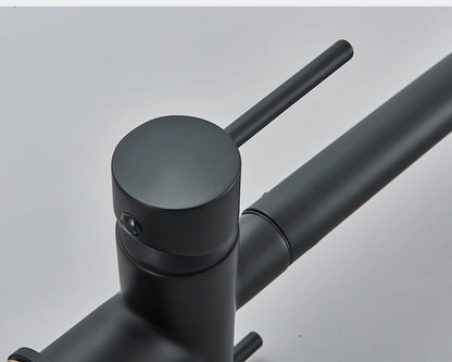 Rozin Water Purifier Kitchen Faucet Black Pull Out Flexible Filter Kitchen Faucets Crane Brass 2 in 1 Hot Cold Water Mixer Tap