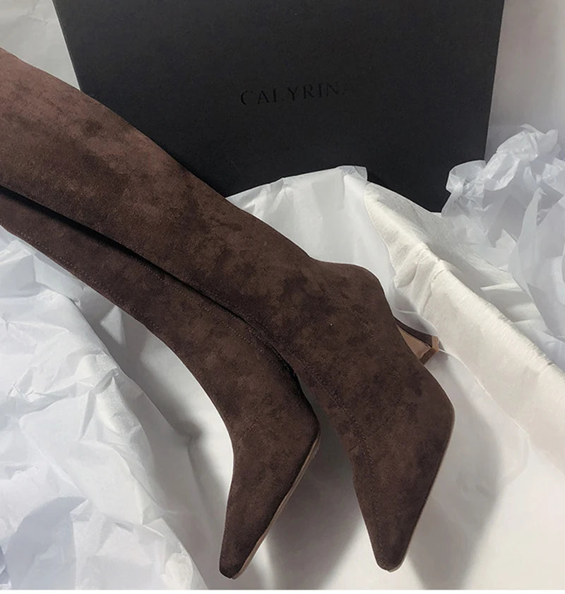 Women Stretch Modern Long Boots Fashion Pointed Toe Knee High Booties Designer High Heels Shoes.