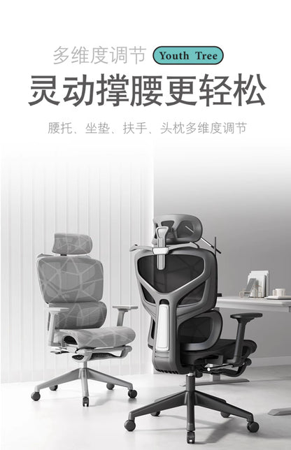 Throne Study Bürostuhl Playseat Ergonomischer moderner luxuriöser mobiler Bürostuhl Executive Designer Taburete Bibliotheksmöbel