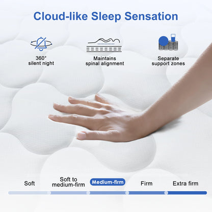 Daccormax 22 cm dicke Federkernmatratze, in mehreren Größen erhältlich, 7 Zonen ergonomisches Design, inklusive Spannbettlaken