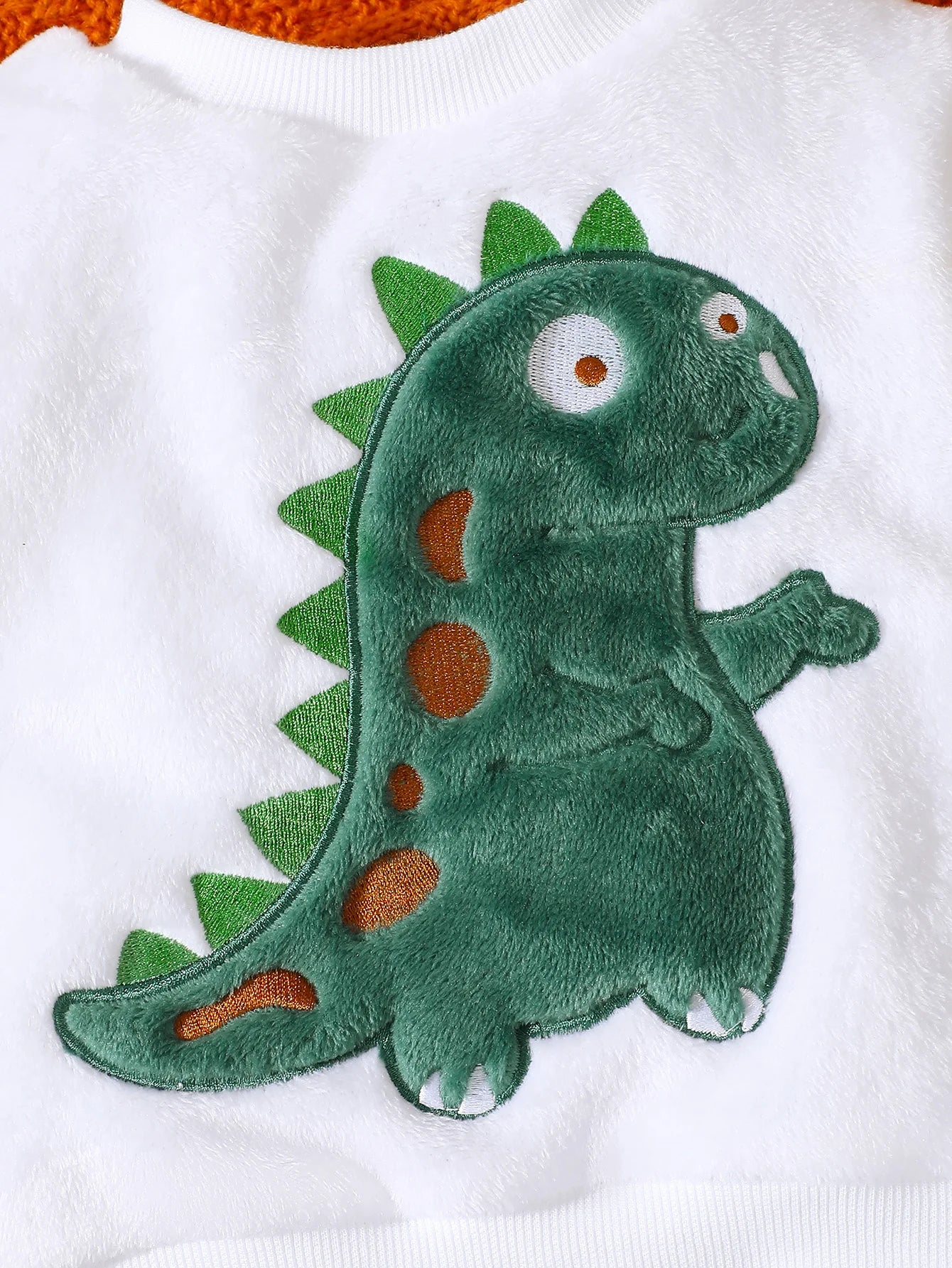 Baby Boy Autumn And Winter Cartoon Dinosaur Embroidery Hoodie Plush Two-piece Set.